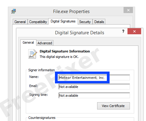 Screenshot of the Meteor Entertainment, Inc. certificate